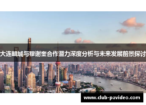大连鲲城与穆谢奎合作潜力深度分析与未来发展前景探讨