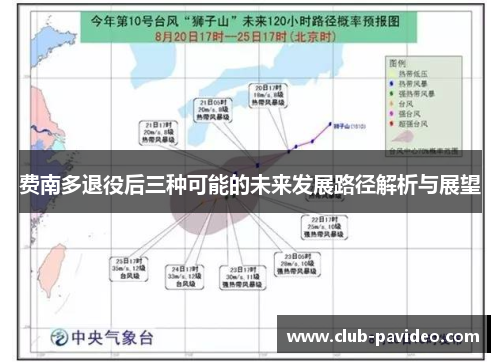 费南多退役后三种可能的未来发展路径解析与展望
