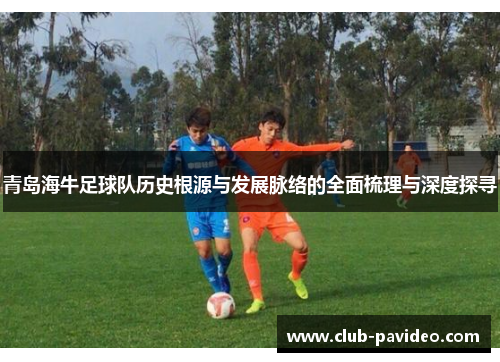 青岛海牛足球队历史根源与发展脉络的全面梳理与深度探寻 青岛海牛足球队历史根源与发展脉络的全面梳理与深度探寻